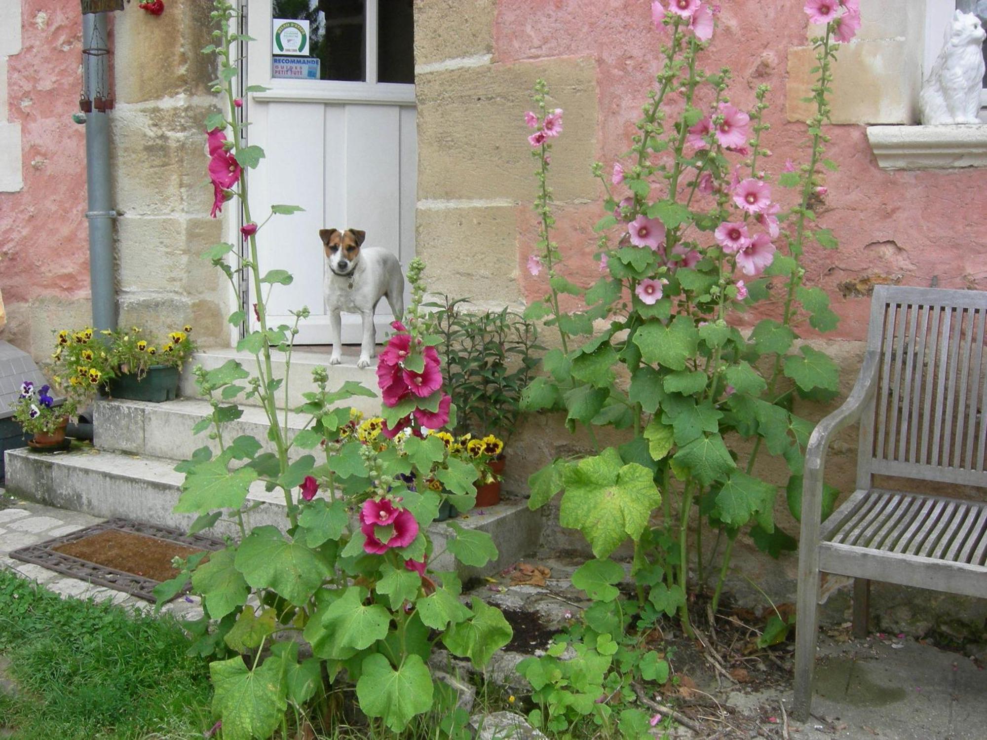 La Ferme Rose Bed & Breakfast Сержи Екстериор снимка